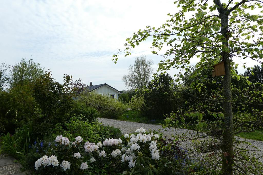 Ferienhaus-Silbermoewe Kappeln Bagian luar foto